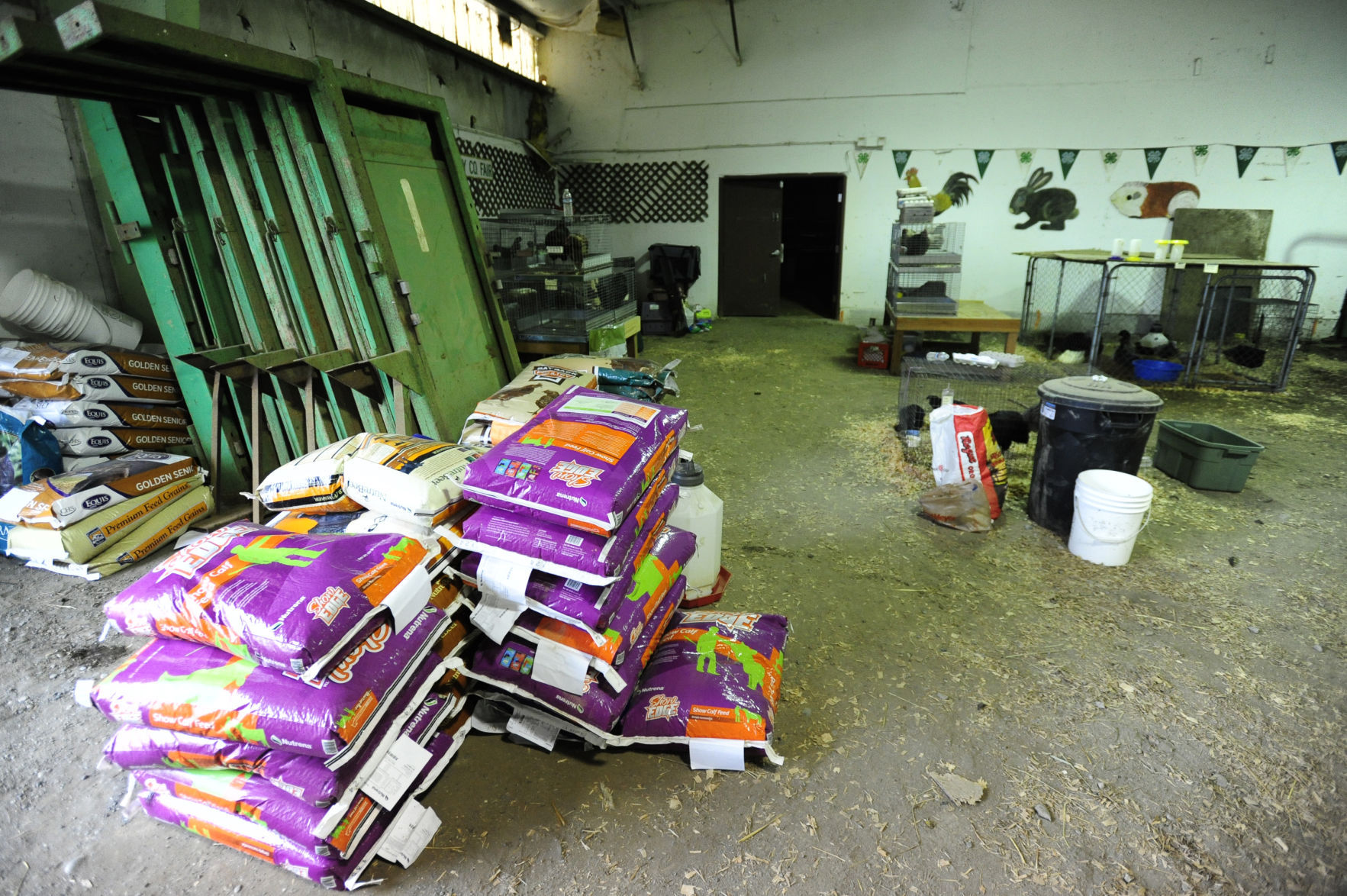 Sheltering animals displaced by Chetco Bar Fire